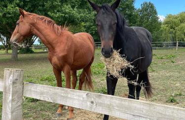 Rural Lake View in Welford upon Avon - Foto 44