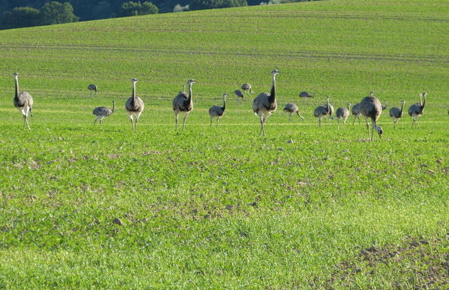 Holt Stuuv Comfortable Holiday Residence - Foto 14