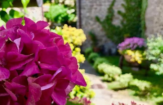 Agriturismo Castello della Pieve - Photo 33