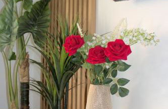 L'Escale Tropicale, appartement indépendant avec terrasse privative - Foto 12