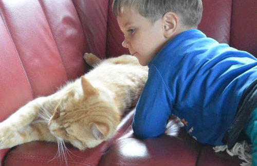 Krolowo Apartment - Photo 39