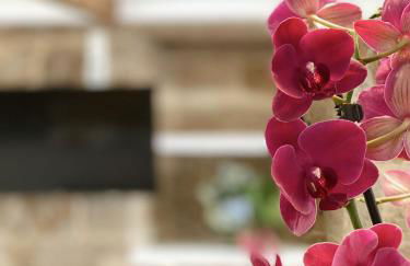 Celanova House - Foto 69