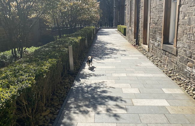 Executive Level Quartermile two Bedroom Apartment - Extremely Central - Foto 22