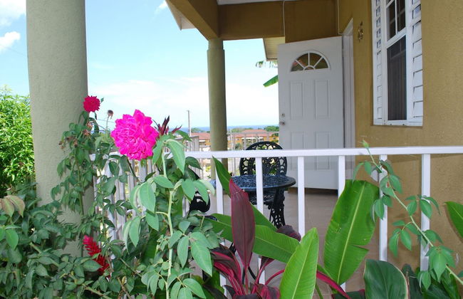 St Mary Mins Away From Ocho Rios 2 bed Ocean View Villa - Foto 13