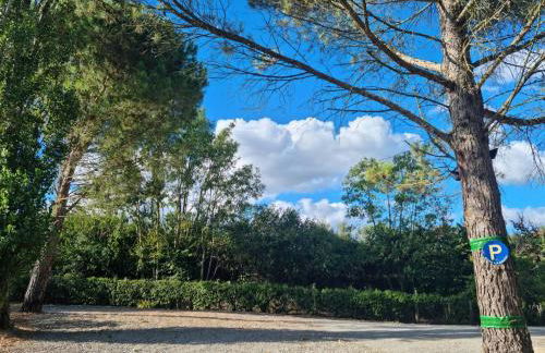 Aux couleurs de la terre d'oc - Foto 29