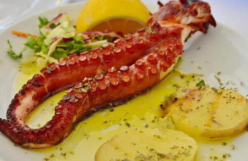 Elbamar Procchio - Foto 6