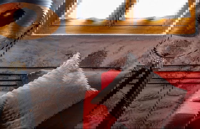 Terra Lodge - Photo 24