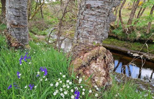 Highland River Cottage with Hot Tub - Foto 37