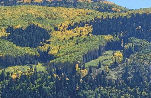 Outlaw Cache - Foto 29