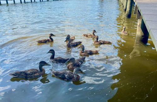 Drake on the Lake - False River, LA - Foto 26