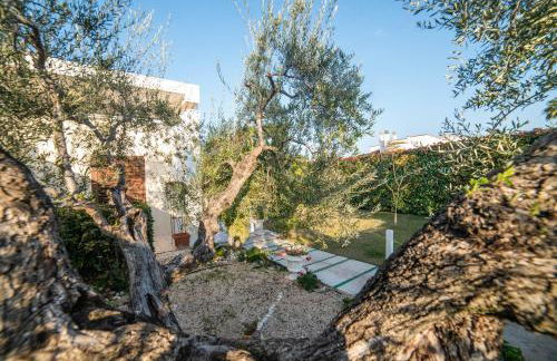 Oasi della pace - Foto 55