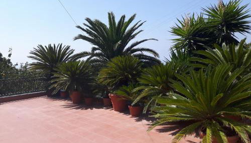 La Casa del Sole - Foto 5