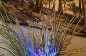 Le Chai de l'Océan - Studio Avec jardin et terrasse - plage 300 m - Foto 20