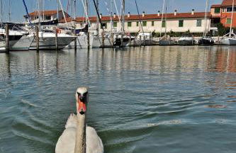 Residence Maestrale - Foto 6