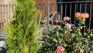 PIRINEOS 3 - Foto 5, Garden view