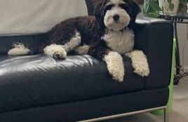 Torch Lake House Central Lake - Foto 29