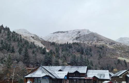 Appartement Mont Dore tout confort, 2 pièces, 4 personnes - Foto 48