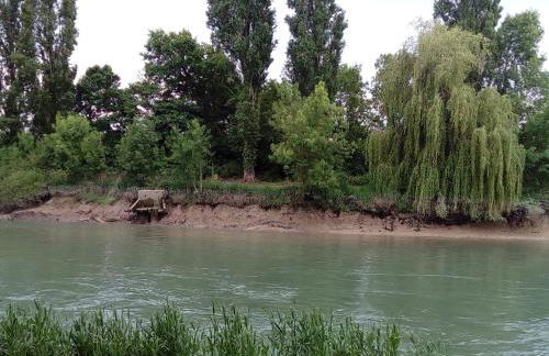 le gite des 3 saules - Foto 62