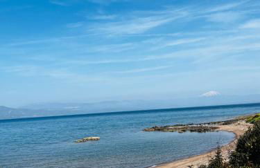 Anoixi Home New Pool and Evia Landscapes - Foto 28