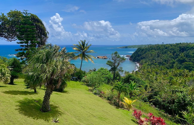 Sea Cliff Eco-Cottages & Gin Distillery - Photo 1