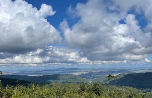 Drewniany dom w brzozowisku - Foto 61