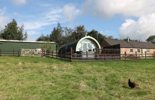 Belles View - Foto 1