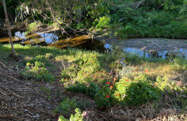 Lofted Bedroom Teal Tiny Home with Creek Views - Foto 21