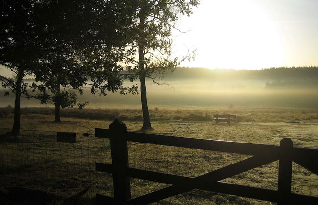 Hoenderloo Getaway With Pool - Foto 39