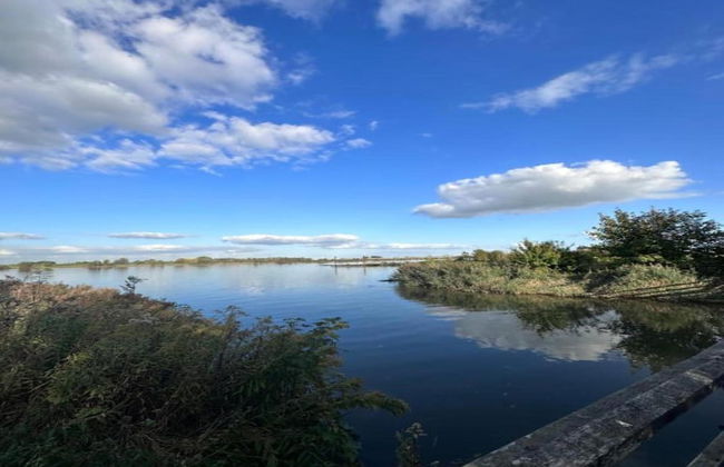 Getaway With Garden in Gelderland - Foto 36