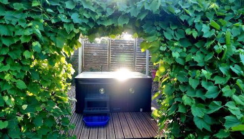 Cube Nature - Foto 2