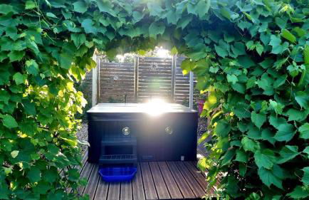 Cube Nature - Foto 2