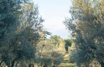 Casa YUVI - Foto 46