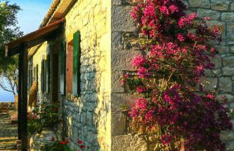 ELEONAS Othoni - Foto 35