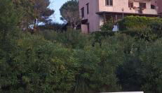 Residenza Belvedere -apartmán Lemon - Foto 3