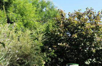 NEW! Gîtes de Charme au Mas de Soleil - Foto 76