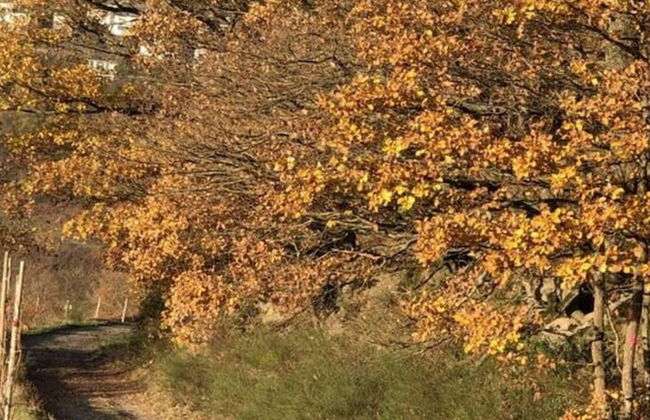 Uitzicht op de Wijngaard - Photo 18