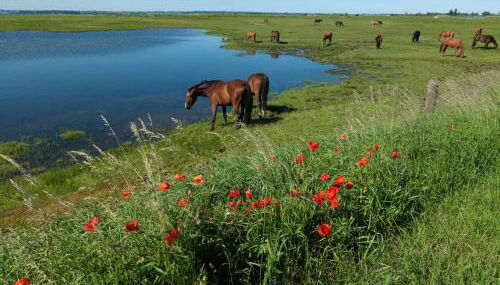 Haus Sonnenschein Sonnenwinkel - Foto 4