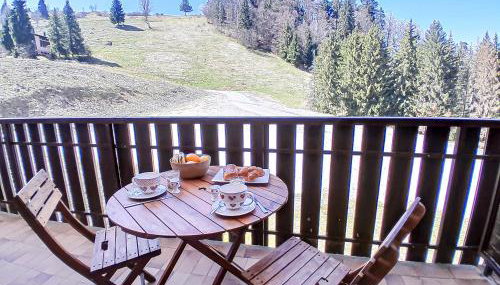 Y Hôtes- Ambiance Montagne T2 Station Hirmentaz - Foto 2