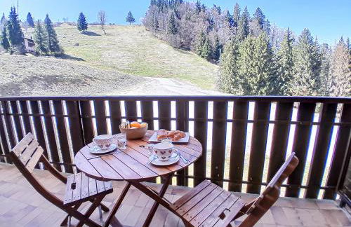 Y Hôtes- Ambiance Montagne T2 Station Hirmentaz - Foto 2