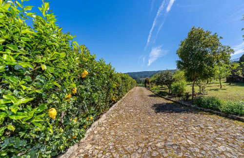 Magnolia Sublime Villas - Casa da Bragunda - Foto 72