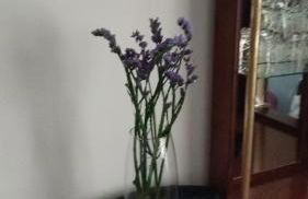 Villa Graña Medrano - Foto 17