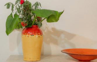 Nassibe Estate - Photo 60