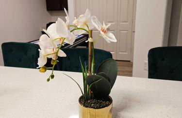 Frisco Vibes With Pool Gym and Elegant 1BR Apart - Foto 2