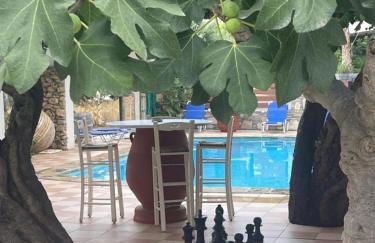 Ammoudara Beach Hotel & Apartments - Foto 26