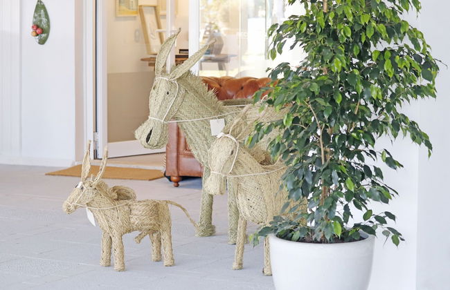 Bonavida Apartments - Foto 3