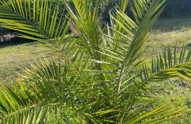 Studio meuble neuf - Foto 17