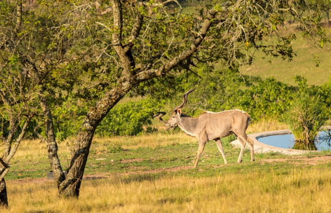 AtNature Luxury Self Catering Cottages - Photo 75