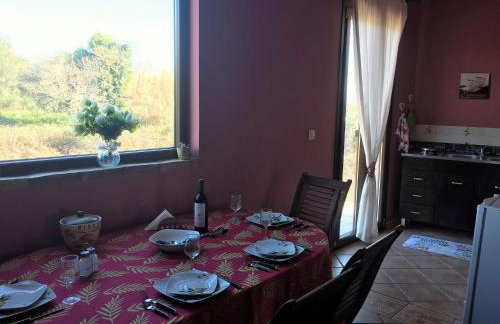 The Olive Tree House - Foto 11