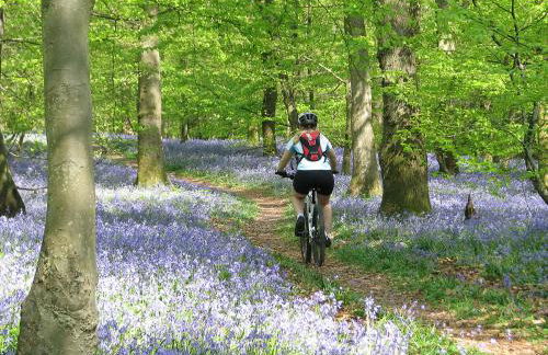 Willow Cottage - Foto 8