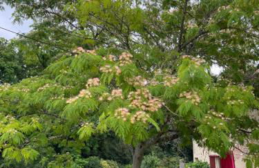 La Ferme de Belbouys - Foto 62